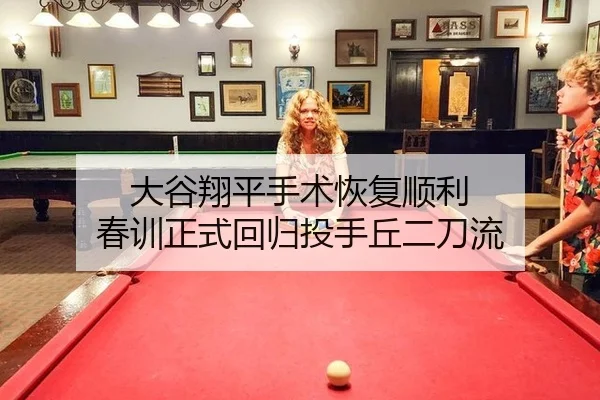 da-gu-xiang-ping-shou-shu-hui-fu-shun-li-chun-xun-zheng-shi-hui-gui-tou-shou-qiu-er-dao-liu-2-992.jpg