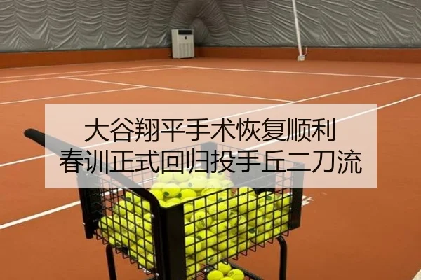 大谷翔平手术恢复顺利 春训正式回归投手丘二刀流