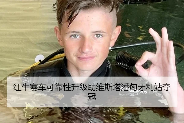 红牛赛车可靠性升级助维斯塔潘匈牙利站夺冠