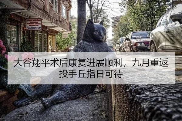 da-gu-xiang-ping-shu-hou-kang-fu-jin-zhan-shun-li-jiu-yue-chong-fan-tou-shou-qiu-zhi-ri-ke-dai-2-941.jpg