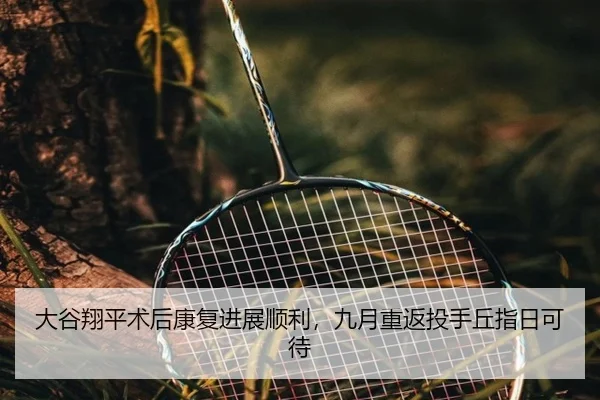 大谷翔平术后康复进展顺利，九月重返投手丘指日可待