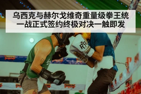 乌西克与赫尔戈维奇重量级拳王统一战正式签约终极对决一触即发