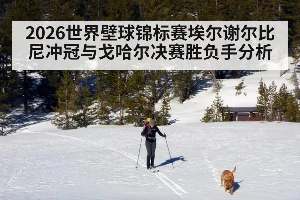 2026世界壁球锦标赛埃尔谢尔比尼冲冠与戈哈尔决赛胜负手分析